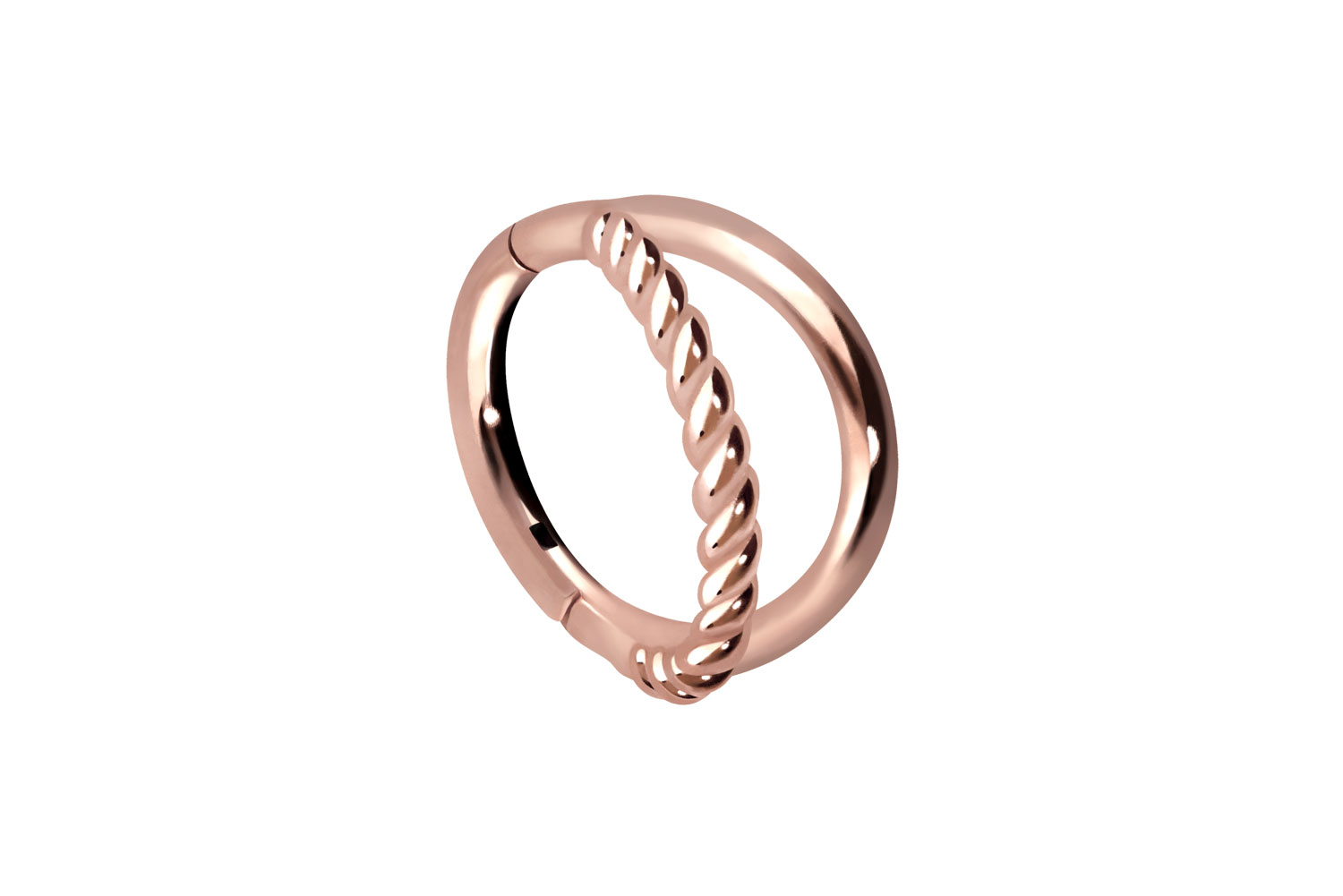Chirurgenstahl Segmentring Clicker Piercing 2 RINGE + GEDREHT